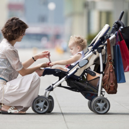 ������� �����������