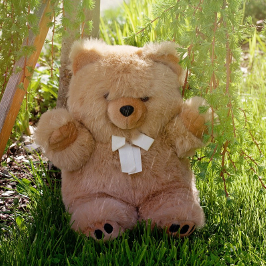 ������ ������ �������