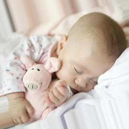 ������ ������ �������