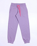 �����  �/�  �����. �����. ���������