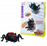 ����, ������� �� ������, �� ����������.������������� �����. � �������.