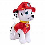 ������� ����. ������� ������� ������ ,���.20 ��