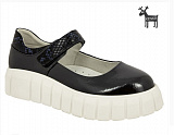 ����� �/� ���.�./���.�. navy