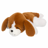 ������� ���. "�����", 25��