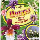 �����. ����� ������ ������������