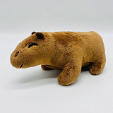 �������� 20��