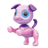 ������� �����. "����� �����: ����������" ����,����,����� 