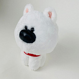 �����  � ��������� 30 ��, �����