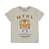 �������� �/� �����