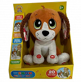 ������� ���.�����. ����� ��������� 25 ��,�������,���� 