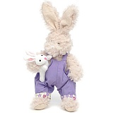 ���� �����  26��