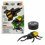 ����-���-�������� �� �� �����. �����