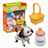 ������� ����. ������� � ���������� � ���������