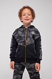 ����� �/� ����� ������ ��������