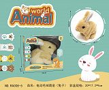 ������ ������� "�����", �����, �����, ������.