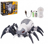 �����-���� �� �/�, 25 ����, �����. ���.