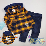 �-� �/� 2��. ������� (�����. �����) + ������ ���������