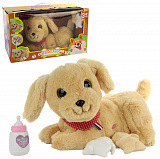 ������� ����� "������ � �������"