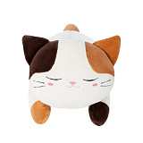 ��� ������