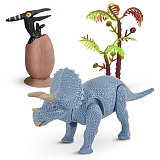 ����� ���������� "�������� � �����: �����������"