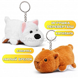 ������� ���. "���������� ��������/�������" 