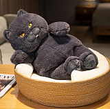 ������� ������ 48�� 