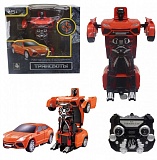 ��������� ���������.� ������ ������ 20 ��,,����,�����.