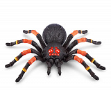 �����������. ���. Robo Alive ��������