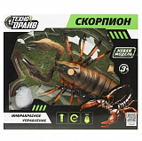 �������� �� ����.���., ����,�������� ,����