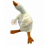 ������� ������ ���� 120 ��