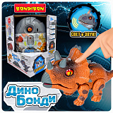 ������� �������� ���� ����� ����/����, �����������