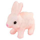 ����� "����������" ������ ������ �����,�������,���.�����