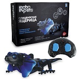 ����������� ������� ����,���� ������� 