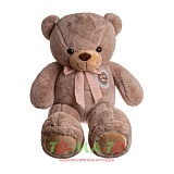 ������� ����. �������