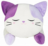 ������� ���