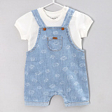 �-� �/� 2��. ��������+��������, ���������/�������