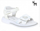 ��������� �/� ���.�./���.�. white