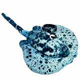 ������� ���. ���� ����� 15��  � ���������