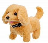 ������� ���. "�����" �����,������ ���������,����