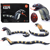 ���� �/� "����������� �����"