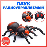 ���� �/� "��������", ����