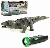 �������� �/� "Crocodilia" ����