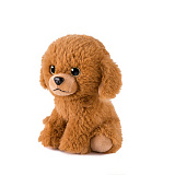 ������� ��� 16 ��