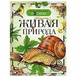 ����� ������� (���)