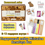 ���������� ����� "Capybara Box"