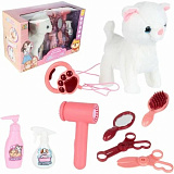 ����� � �������� ������� "���� ������"