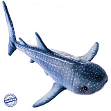 ������� ���. ����� ������� ����� 75�� 