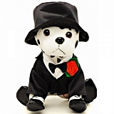 ���������� Chi Chi Love ���� ������, � ���������, � ��������