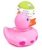 ������� �/����� "�������� ������"