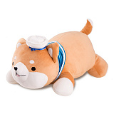 ������ ���� ��� ������� 45 ��